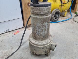 Lowara Single Phase Stainless Steel Water Pump