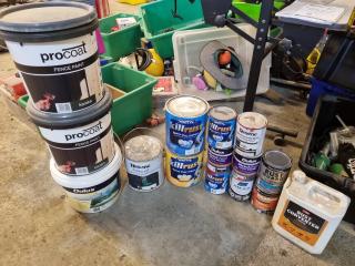 Assorted Paints, Primers, & More