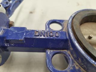 PN16 DN100 CF8 Body And Disc Center Line Butterfly Valve