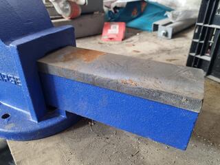Eclipse Benchtop Vice EMV-8
