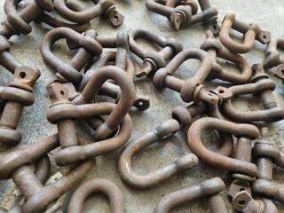 37x D-Shackles