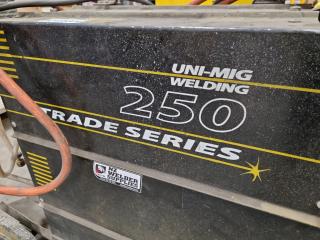 UniMig Welding Trade Series 250 Welder