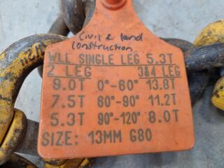 Single Leg Lifting Chain Assembly, 5.3-Ton Capacity