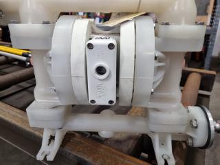 Wilden 25mm AODD Pump P200