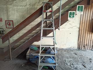 Ulrich Aluminum Ladder