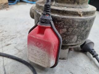 Lowara Single Phase Stainless Steel Water Pump