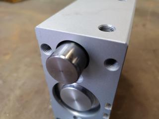 Festo DFM Series Guided Pneumatic Cylinder