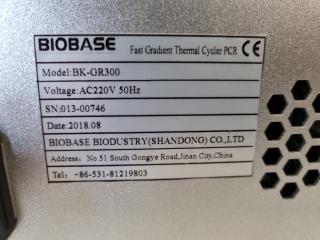 BioBase Fast Gradient Thermal Cycler PCR