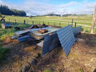 Large Lot of Reclaimed Corrugated Sheets