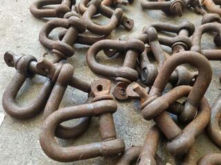 37x D-Shackles