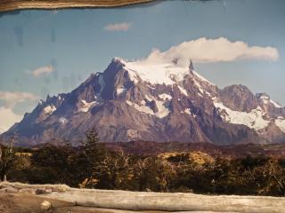 Large Rustic Wood Framed Patagonia Mountains Image w/ Smaller Framed Print
