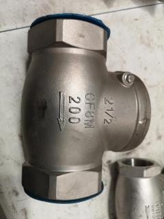 18x Assorted CF8M Pipe Check Valves