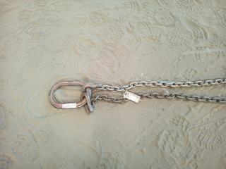Long 2 Legged Lifting Chain
