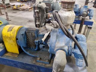 Viking Industrial Pump Assembly w/ SEW Eurodrive Motor & Reduction Box