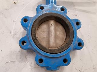 DN100 200WOG Body And CF8M Disc Center Line Butterfly Valve