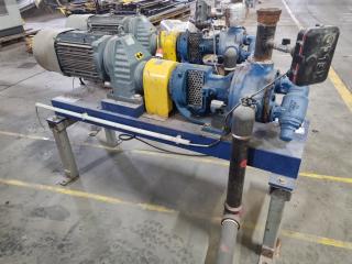 Viking Industrial Pump Assembly w/ SEW Eurodrive Motor & Reduction Box