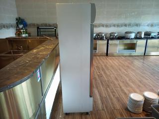 Suiling Display Fridge