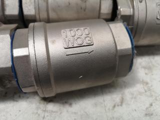 18x Assorted CF8M Pipe Check Valves