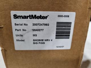 SmartMeter SM250 Electronic Water Meter, New
