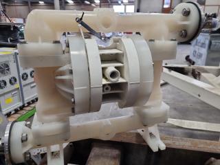 Wilden 25mm AODD Pump P200