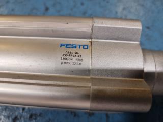 Festo Pneumatic Piston Rod Cylinder
