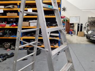 Alco TradeMaster Combination Ladder