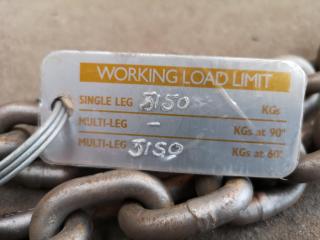 3150kg Double Leg Lifting Chain Set