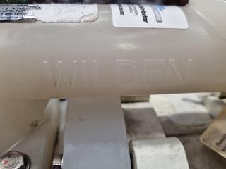 Wilden 25mm AODD Pump P200