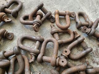 37x D-Shackles