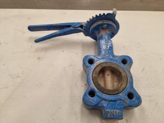 PN16 PCD115 Body And Disc Center Line Butterfly Valve
