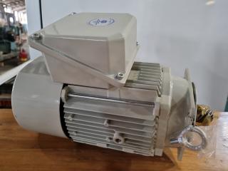 Electric Induction Motor, New