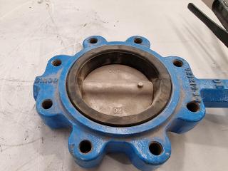 DN100 200WOG Body And CF8M Disc Center Line Butterfly Valve