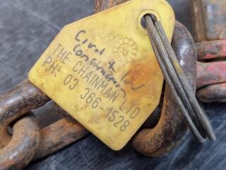 Plate Lifting Clamp Assembly, 1-Ton Capacity