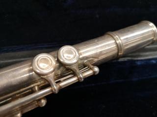 Stagg 77-FE Flute w/ Case, Missing Components