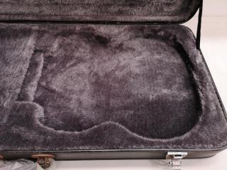 Epiphone Electric Guitar Case